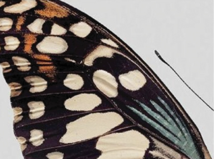 Healthy relationships = Sustainable businesses